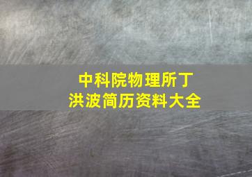 中科院物理所丁洪波简历资料大全