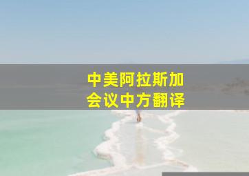 中美阿拉斯加会议中方翻译