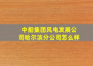 中船集团风电发展公司哈尔滨分公司怎么样