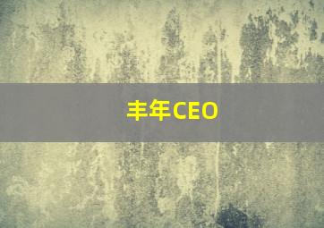 丰年CEO