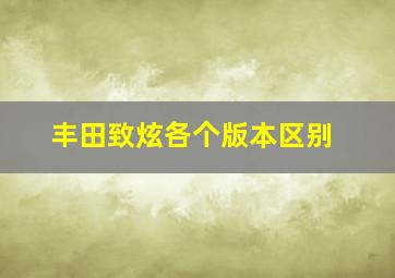 丰田致炫各个版本区别