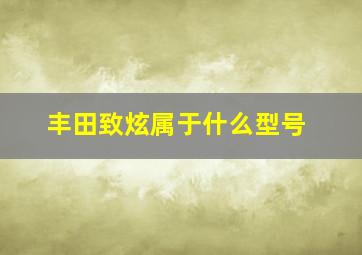 丰田致炫属于什么型号