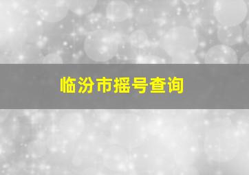 临汾市摇号查询