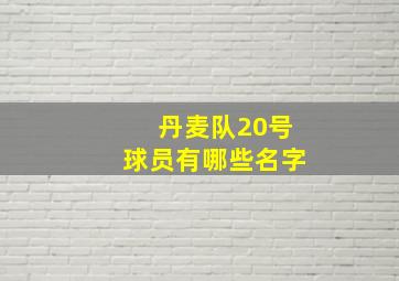 丹麦队20号球员有哪些名字