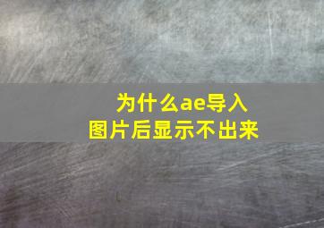 为什么ae导入图片后显示不出来