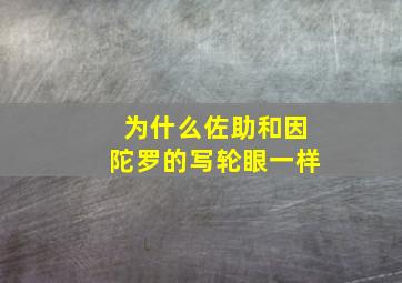 为什么佐助和因陀罗的写轮眼一样