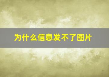 为什么信息发不了图片