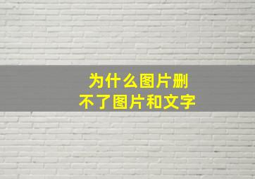 为什么图片删不了图片和文字