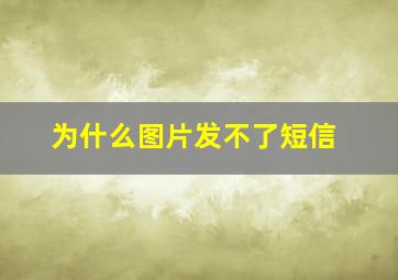 为什么图片发不了短信