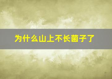 为什么山上不长菌子了