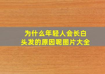 为什么年轻人会长白头发的原因呢图片大全