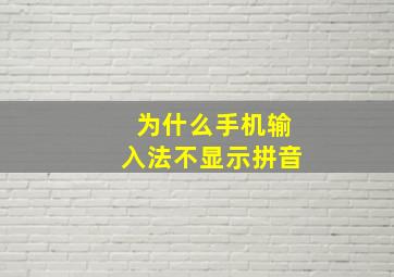 为什么手机输入法不显示拼音