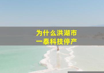 为什么洪湖市一泰科技停产