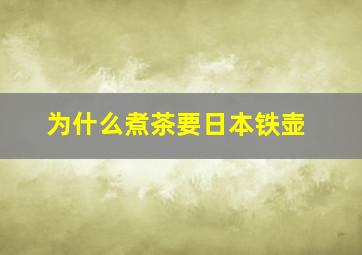 为什么煮茶要日本铁壶