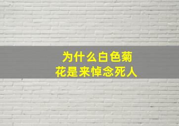 为什么白色菊花是来悼念死人