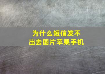 为什么短信发不出去图片苹果手机