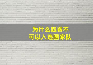 为什么赵睿不可以入选国家队