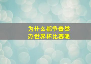 为什么都争着举办世界杯比赛呢