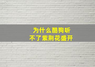 为什么酷狗听不了紫荆花盛开