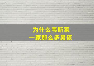 为什么韦斯莱一家那么多男孩