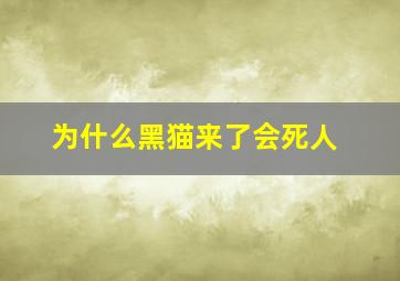 为什么黑猫来了会死人