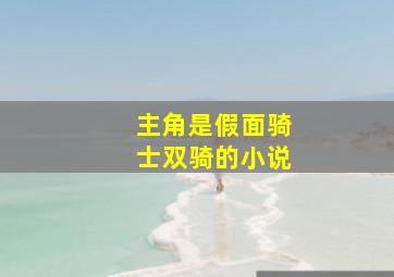 主角是假面骑士双骑的小说