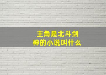 主角是北斗剑神的小说叫什么