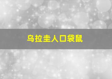 乌拉圭人口袋鼠