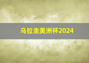 乌拉圭美洲杯2024