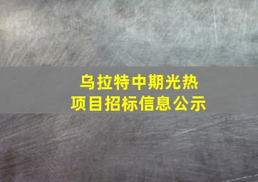 乌拉特中期光热项目招标信息公示