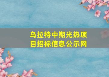 乌拉特中期光热项目招标信息公示网