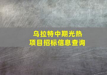 乌拉特中期光热项目招标信息查询