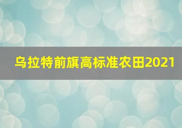 乌拉特前旗高标准农田2021