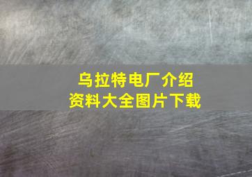 乌拉特电厂介绍资料大全图片下载