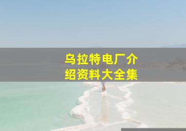 乌拉特电厂介绍资料大全集