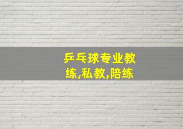 乒乓球专业教练,私教,陪练