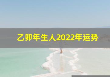 乙卯年生人2022年运势