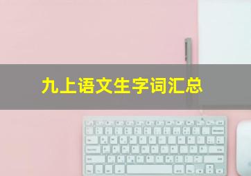 九上语文生字词汇总