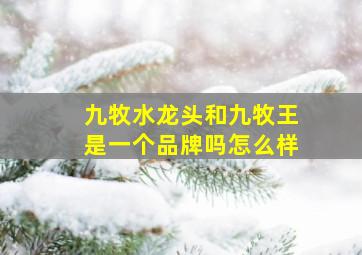 九牧水龙头和九牧王是一个品牌吗怎么样