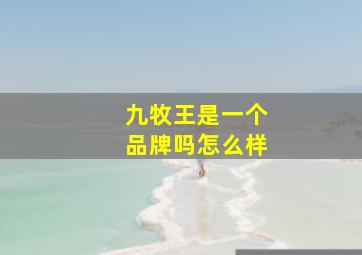 九牧王是一个品牌吗怎么样