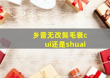 乡音无改鬓毛衰cui还是shuai