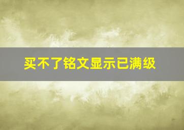 买不了铭文显示已满级