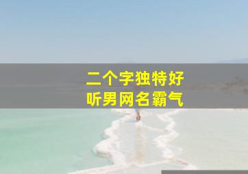 二个字独特好听男网名霸气