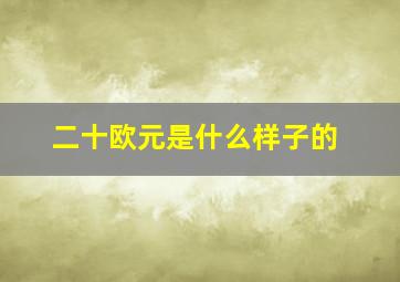 二十欧元是什么样子的