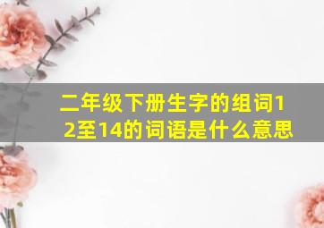 二年级下册生字的组词12至14的词语是什么意思