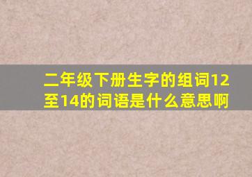 二年级下册生字的组词12至14的词语是什么意思啊