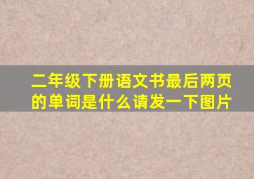 二年级下册语文书最后两页的单词是什么请发一下图片