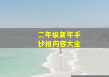 二年级新年手抄报内容大全