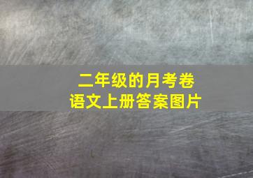 二年级的月考卷语文上册答案图片