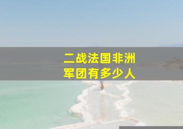 二战法国非洲军团有多少人